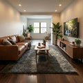 Cloud Plush Hand Tufted Shag Rug