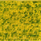 Citrus Garden Handmade Pebble Rug
