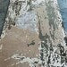 Luxury Hand-Tufted Wool Rug – Soft Beige Floral Pattern, Stylish Interior Rug
